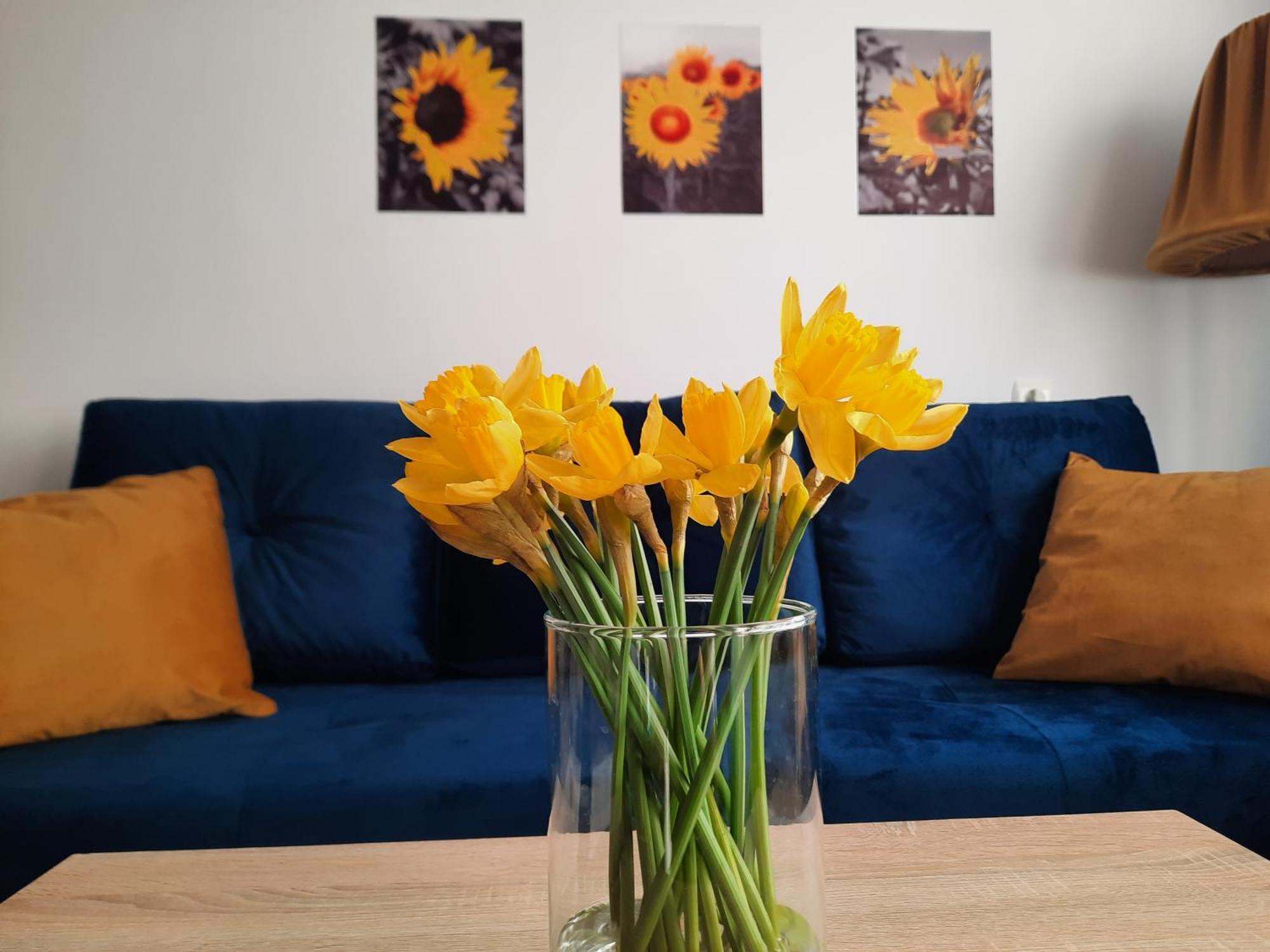 Apartament Baltycka Sardynka Stolpmünde Exterior foto